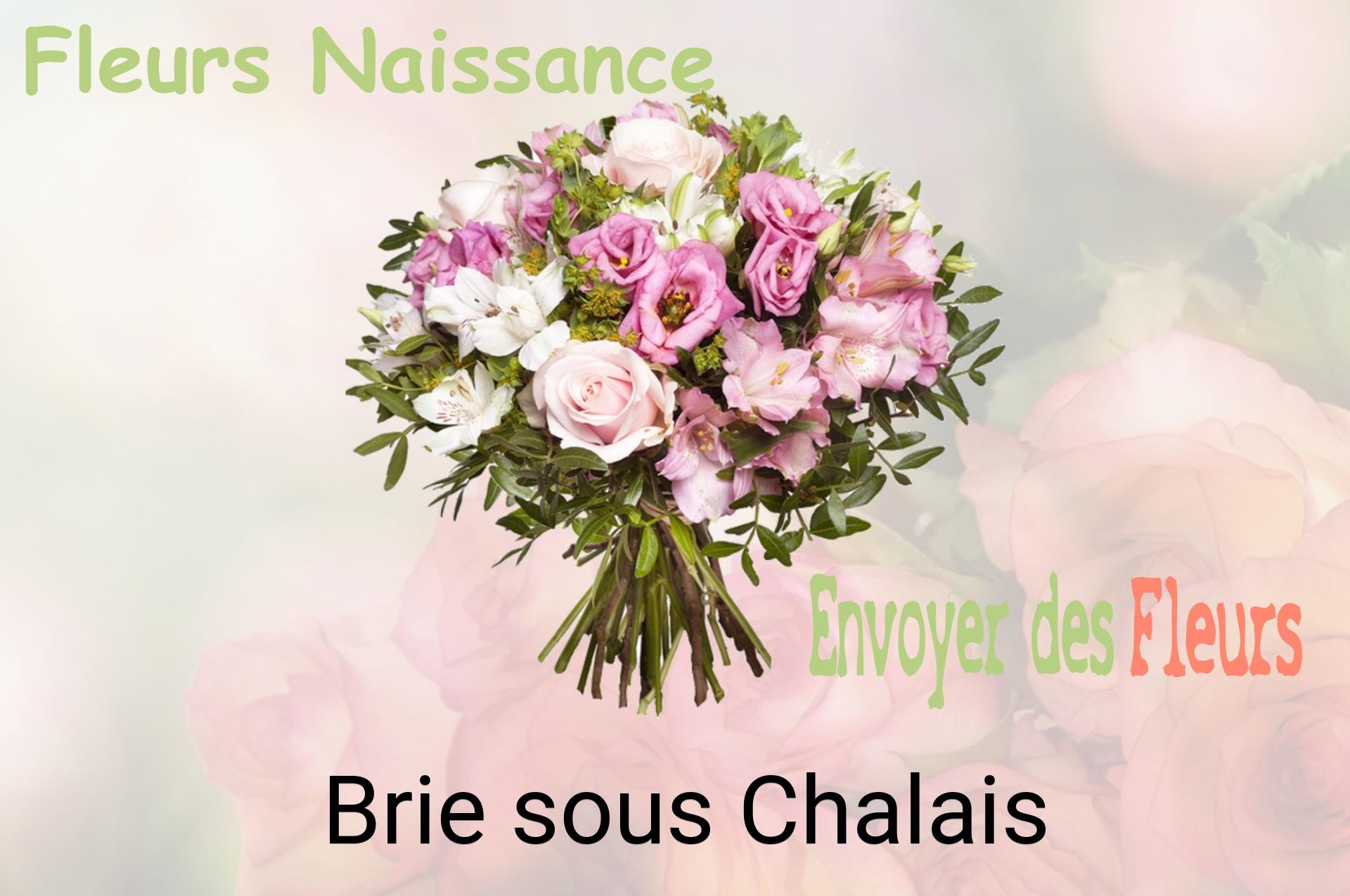Bouquet de fleurs de naissance livré à Brie-sous-Chalais